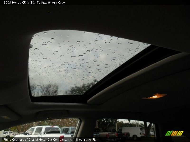 Taffeta White / Gray 2009 Honda CR-V EX