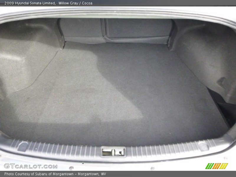 Willow Gray / Cocoa 2009 Hyundai Sonata Limited