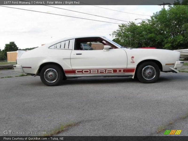  1977 Mustang II Cobra II Polar White