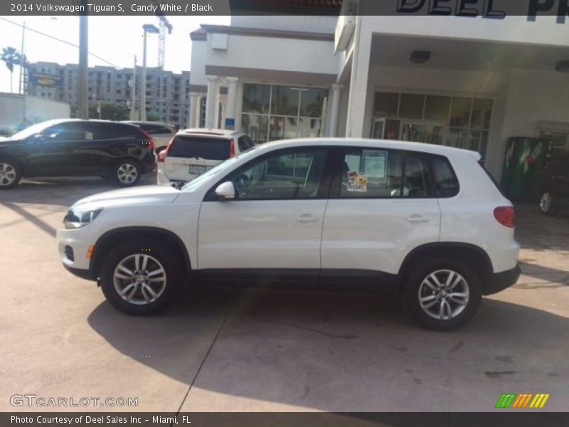 Candy White / Black 2014 Volkswagen Tiguan S