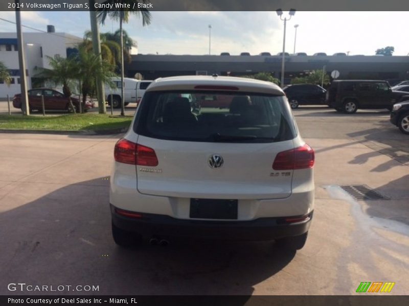 Candy White / Black 2014 Volkswagen Tiguan S