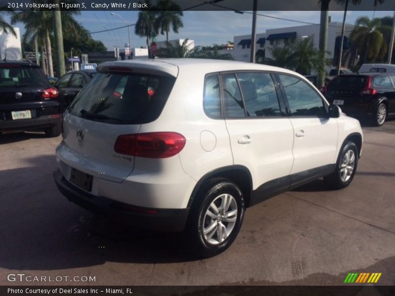 Candy White / Black 2014 Volkswagen Tiguan S