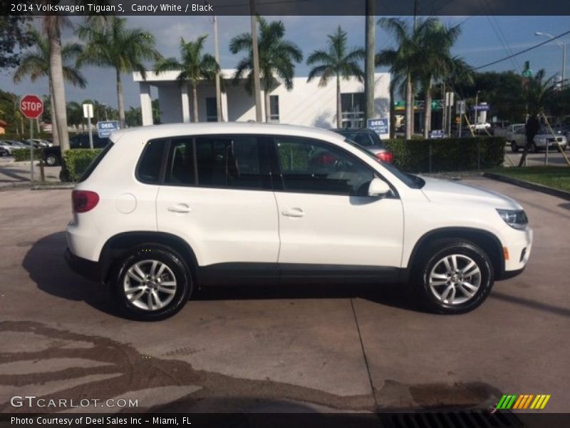 Candy White / Black 2014 Volkswagen Tiguan S