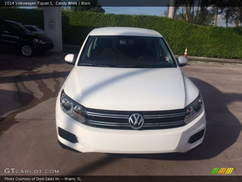 Candy White / Black 2014 Volkswagen Tiguan S