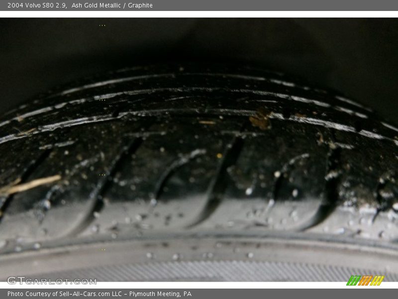 Ash Gold Metallic / Graphite 2004 Volvo S80 2.9