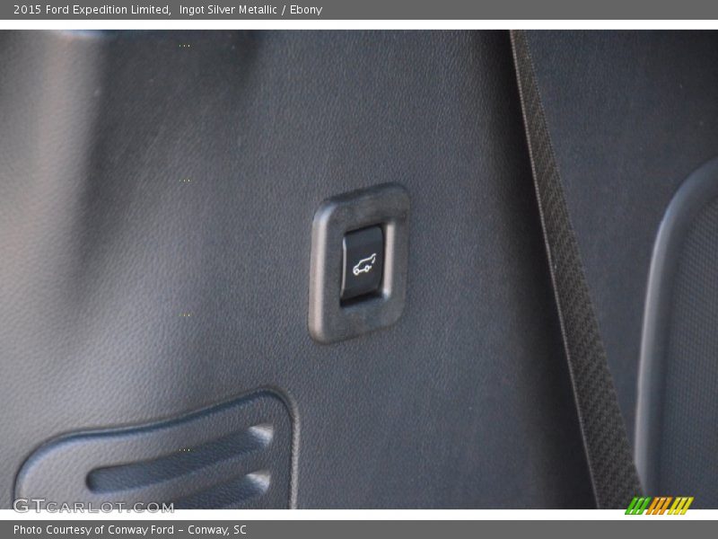 Ingot Silver Metallic / Ebony 2015 Ford Expedition Limited