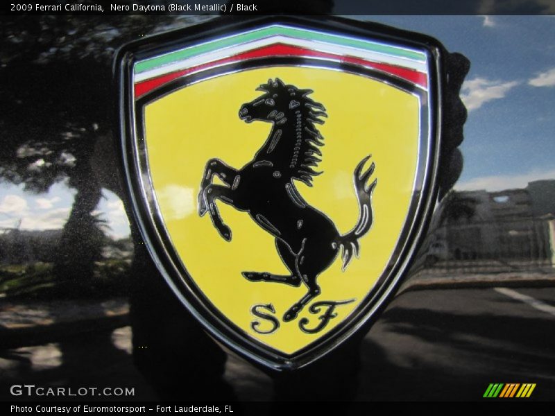 Nero Daytona (Black Metallic) / Black 2009 Ferrari California