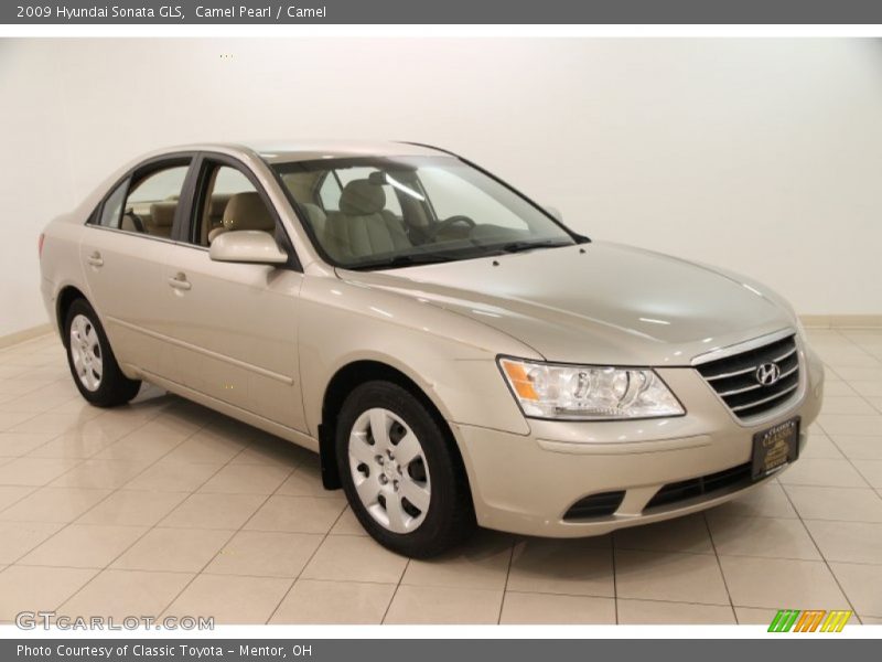 Camel Pearl / Camel 2009 Hyundai Sonata GLS