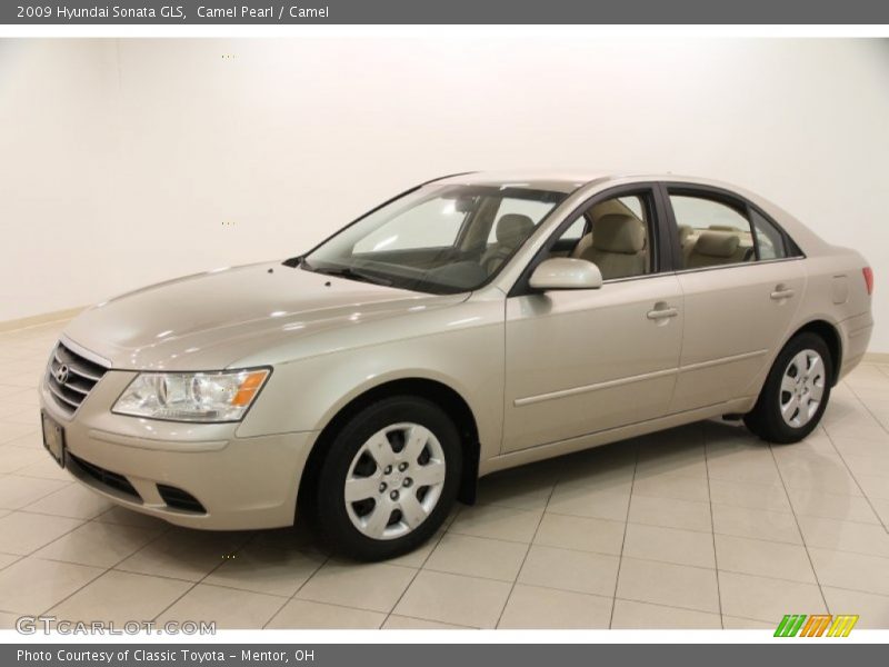 Camel Pearl / Camel 2009 Hyundai Sonata GLS