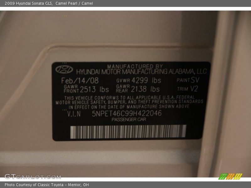 Camel Pearl / Camel 2009 Hyundai Sonata GLS