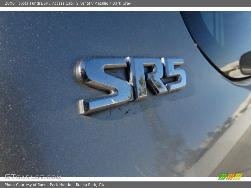 Silver Sky Metallic / Dark Gray 2006 Toyota Tundra SR5 Access Cab