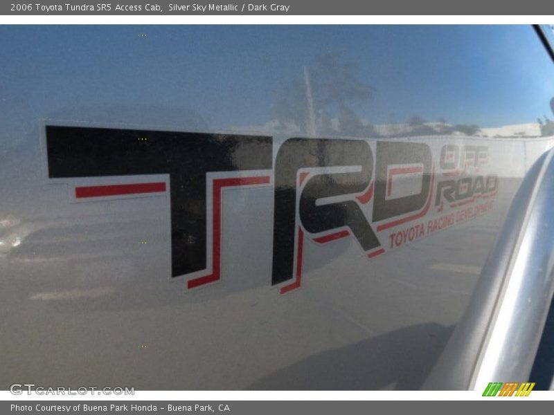 Silver Sky Metallic / Dark Gray 2006 Toyota Tundra SR5 Access Cab