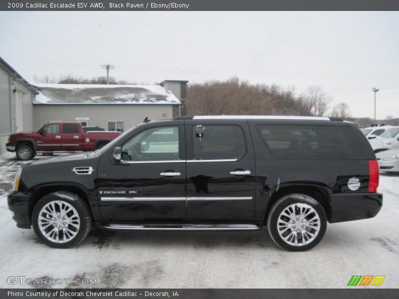 Black Raven / Ebony/Ebony 2009 Cadillac Escalade ESV AWD