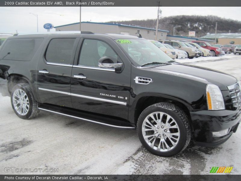 Black Raven / Ebony/Ebony 2009 Cadillac Escalade ESV AWD