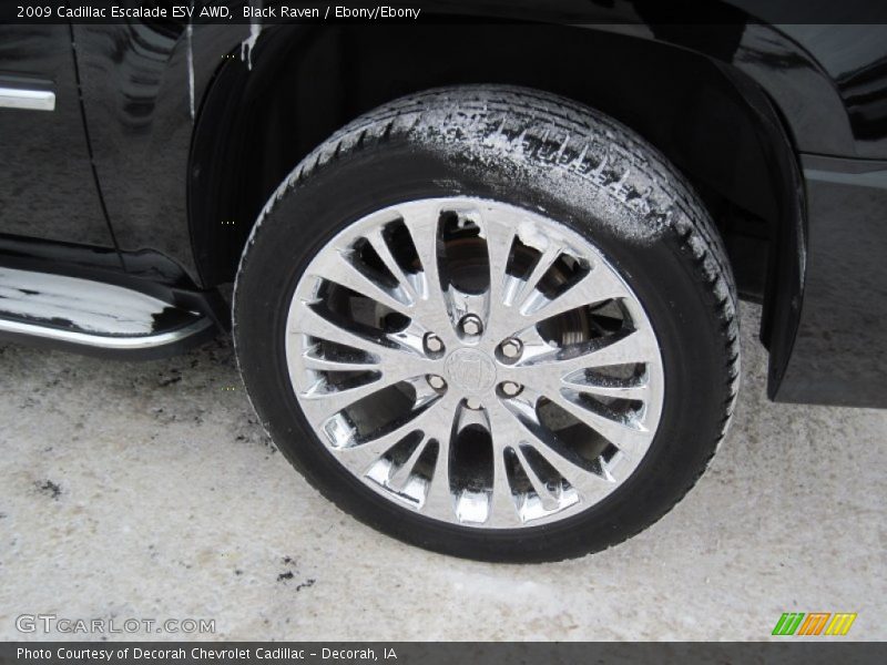 Black Raven / Ebony/Ebony 2009 Cadillac Escalade ESV AWD