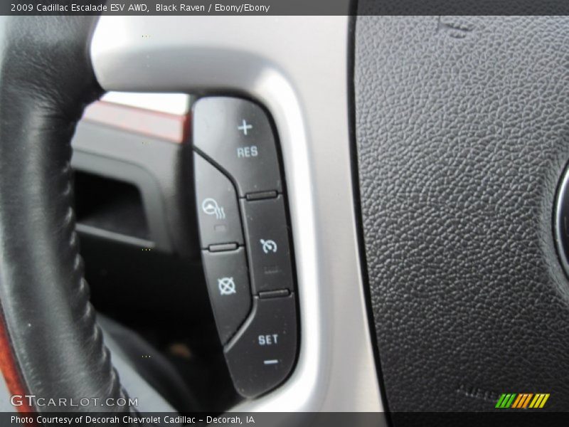 Black Raven / Ebony/Ebony 2009 Cadillac Escalade ESV AWD