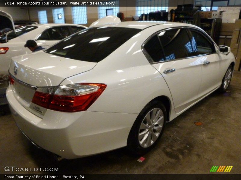 White Orchid Pearl / Ivory 2014 Honda Accord Touring Sedan