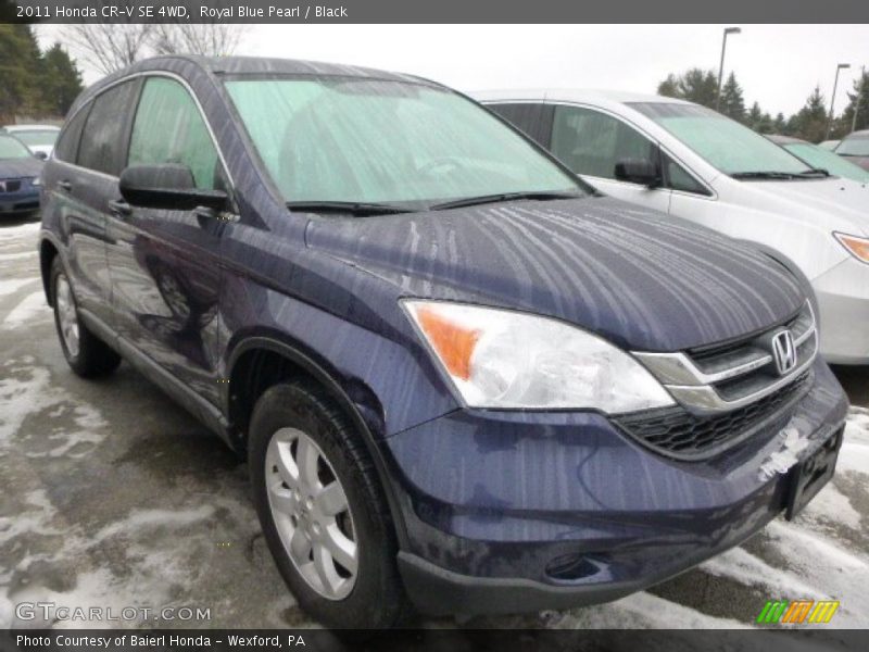 Royal Blue Pearl / Black 2011 Honda CR-V SE 4WD