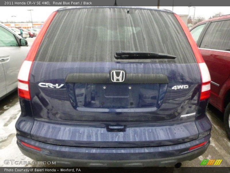 Royal Blue Pearl / Black 2011 Honda CR-V SE 4WD