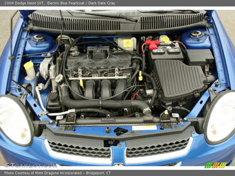 Electric Blue Pearlcoat / Dark Slate Gray 2004 Dodge Neon SXT