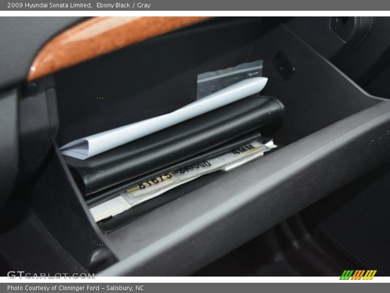 Ebony Black / Gray 2009 Hyundai Sonata Limited