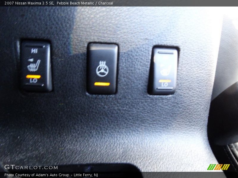 Pebble Beach Metallic / Charcoal 2007 Nissan Maxima 3.5 SE