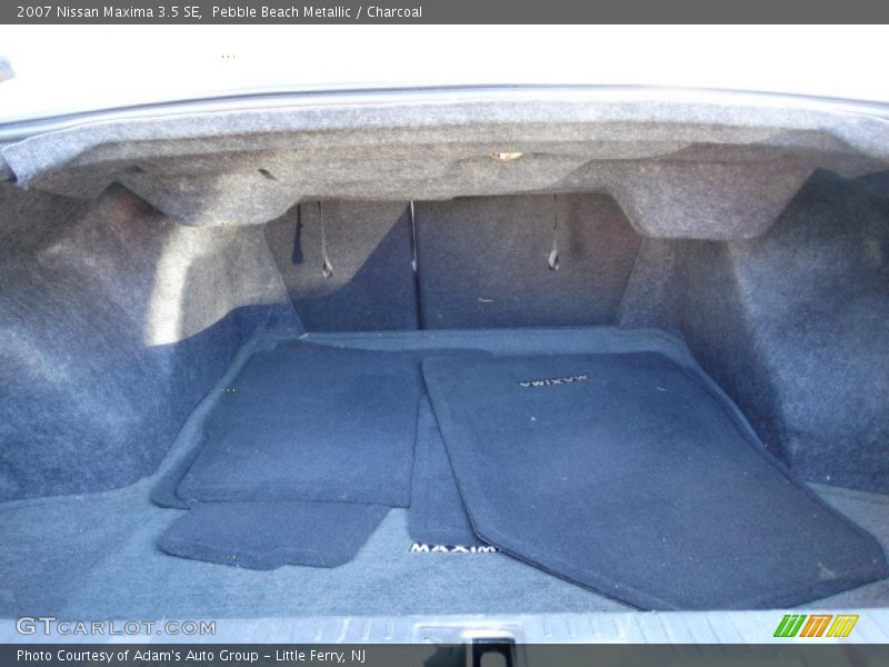 Pebble Beach Metallic / Charcoal 2007 Nissan Maxima 3.5 SE