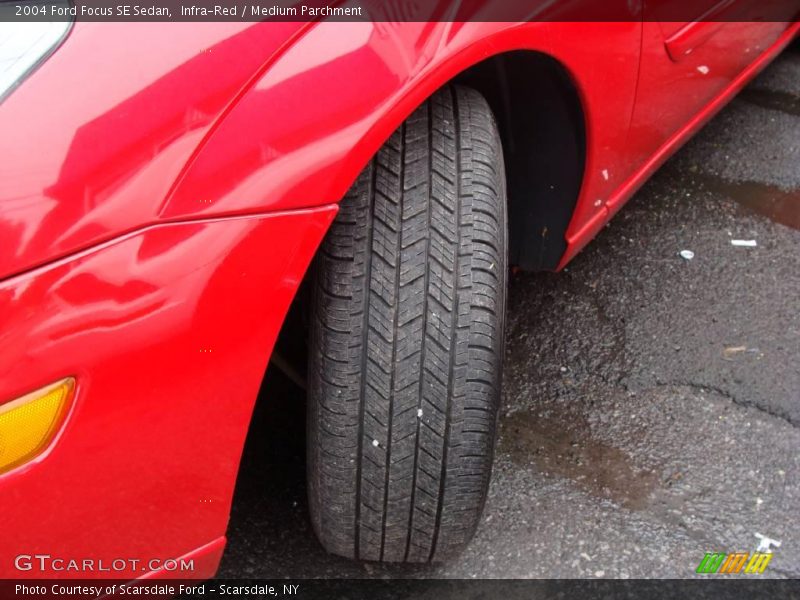 Infra-Red / Medium Parchment 2004 Ford Focus SE Sedan