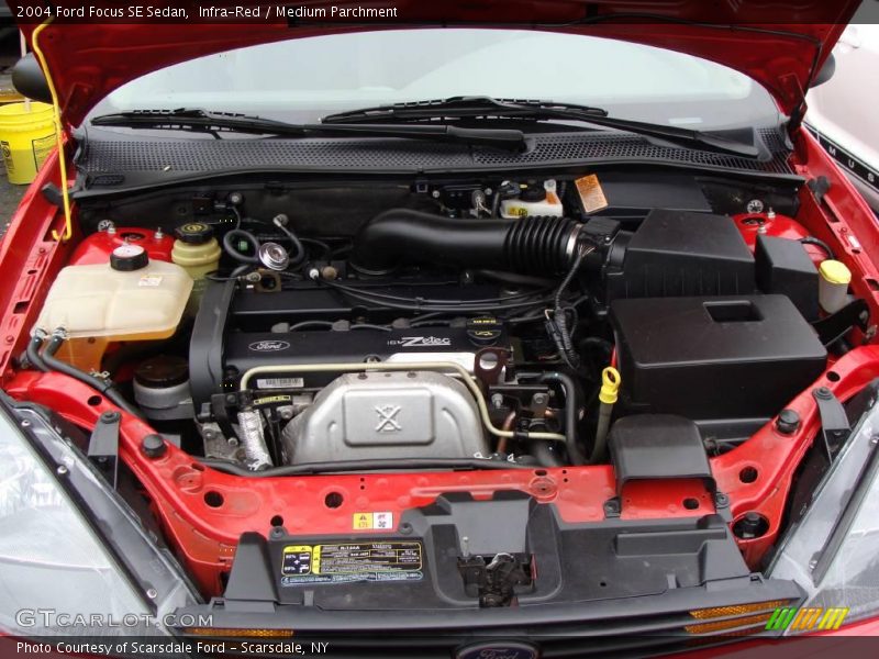 Infra-Red / Medium Parchment 2004 Ford Focus SE Sedan