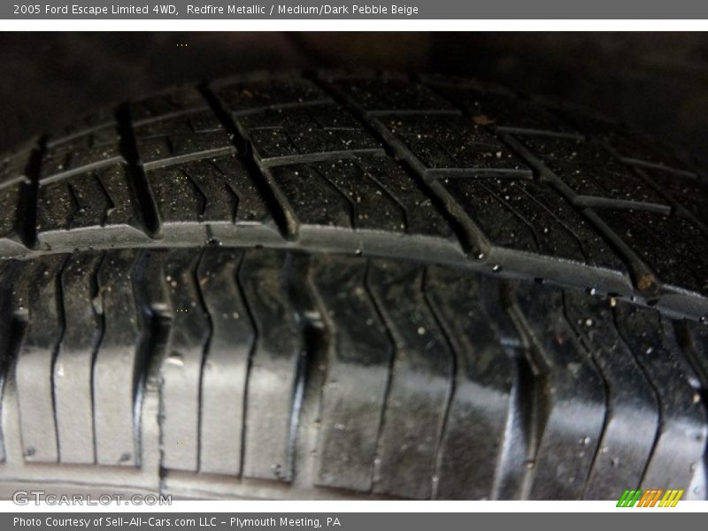 Redfire Metallic / Medium/Dark Pebble Beige 2005 Ford Escape Limited 4WD