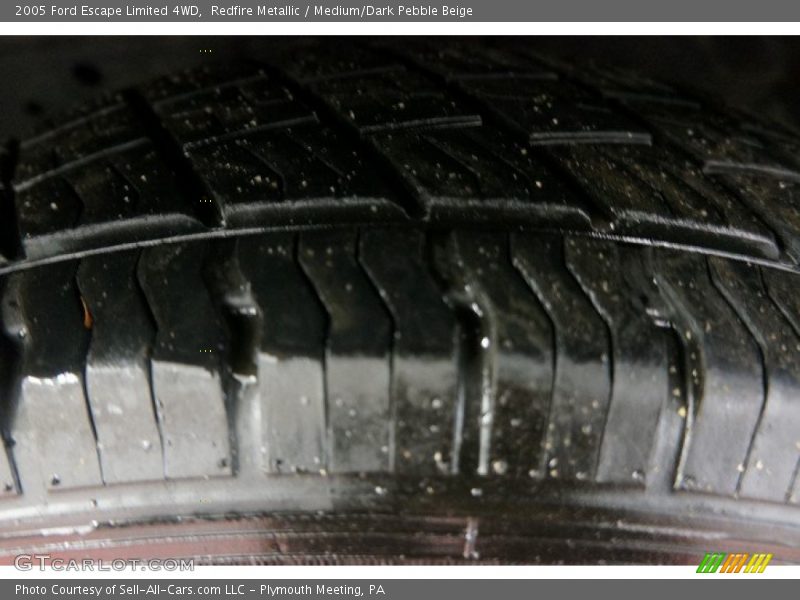 Redfire Metallic / Medium/Dark Pebble Beige 2005 Ford Escape Limited 4WD