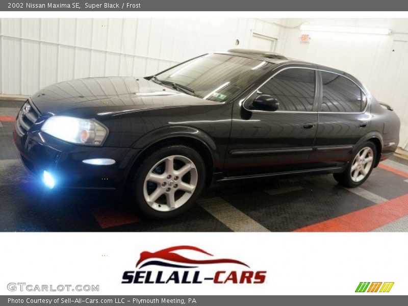 Super Black / Frost 2002 Nissan Maxima SE
