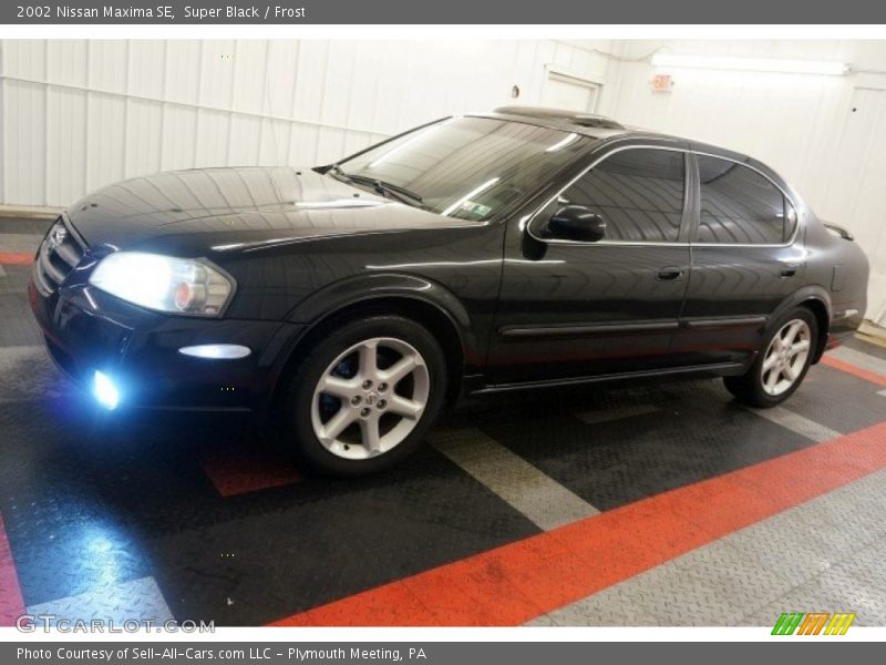 Super Black / Frost 2002 Nissan Maxima SE
