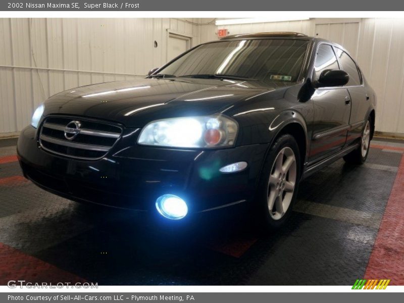 Super Black / Frost 2002 Nissan Maxima SE