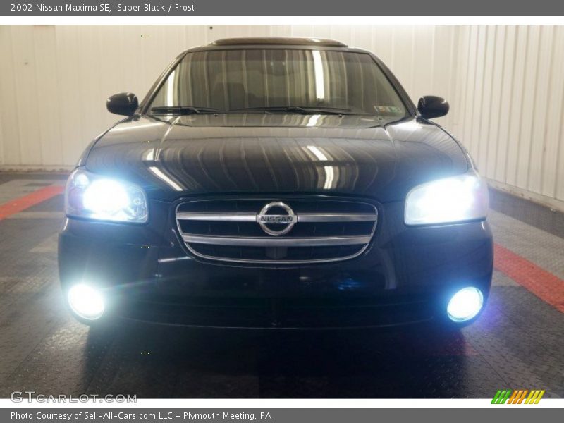 Super Black / Frost 2002 Nissan Maxima SE