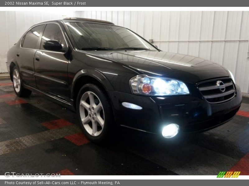 Super Black / Frost 2002 Nissan Maxima SE