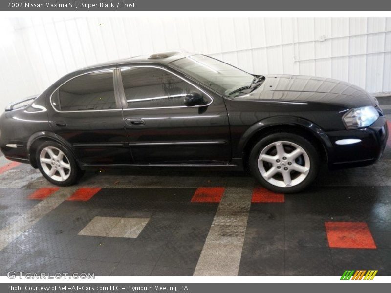 Super Black / Frost 2002 Nissan Maxima SE