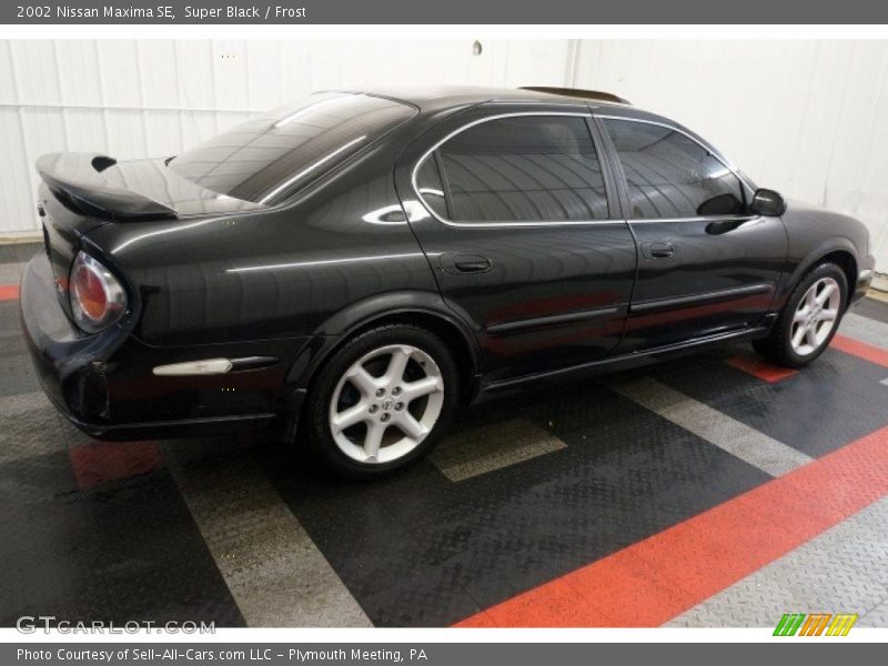Super Black / Frost 2002 Nissan Maxima SE