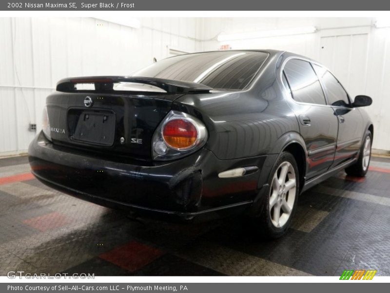 Super Black / Frost 2002 Nissan Maxima SE