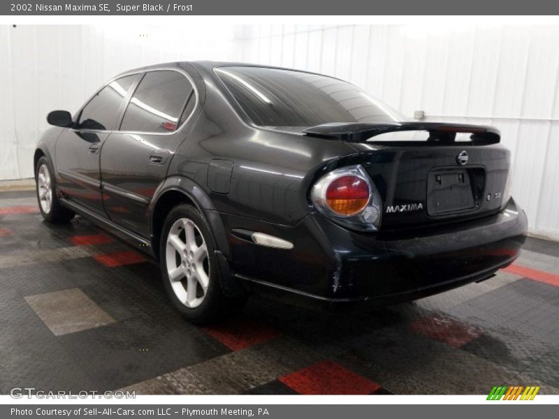 Super Black / Frost 2002 Nissan Maxima SE