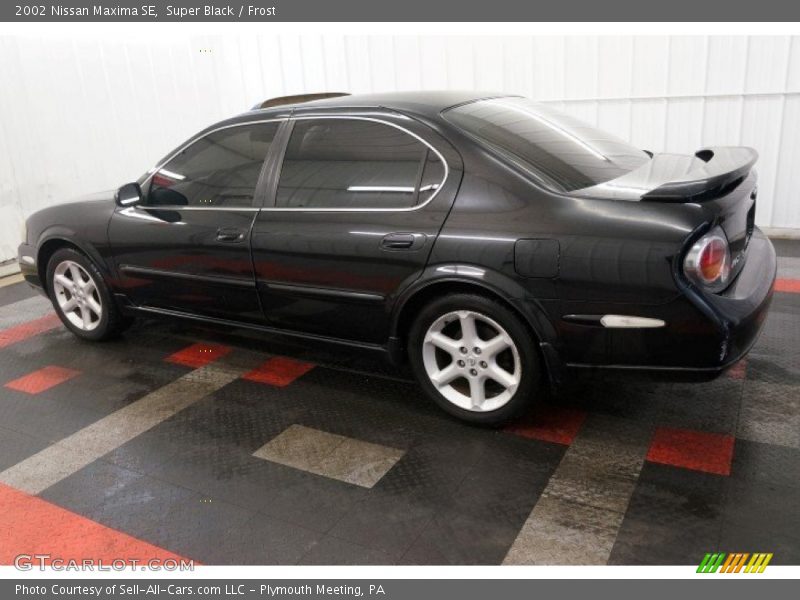 Super Black / Frost 2002 Nissan Maxima SE
