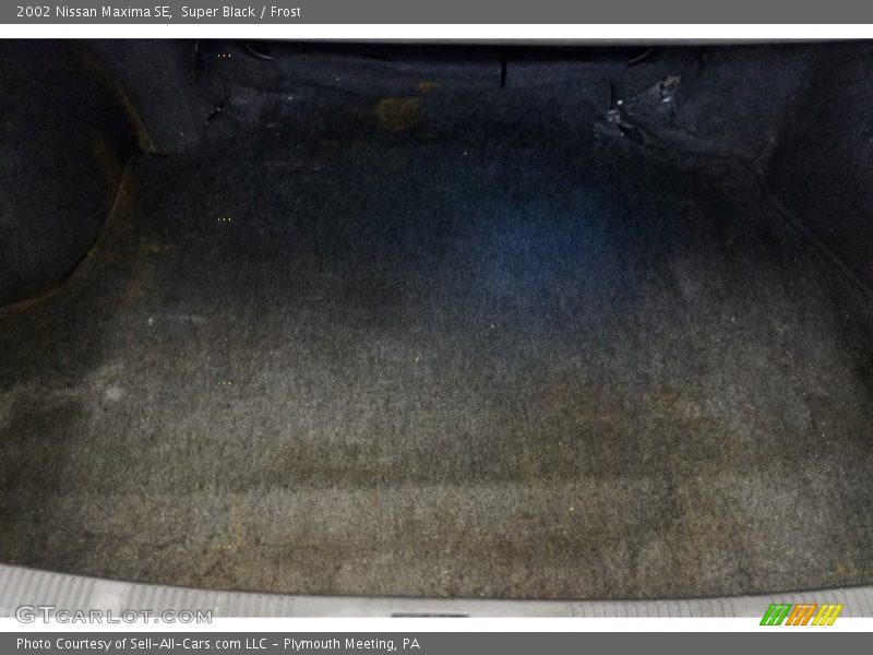 Super Black / Frost 2002 Nissan Maxima SE
