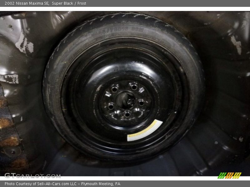 Super Black / Frost 2002 Nissan Maxima SE