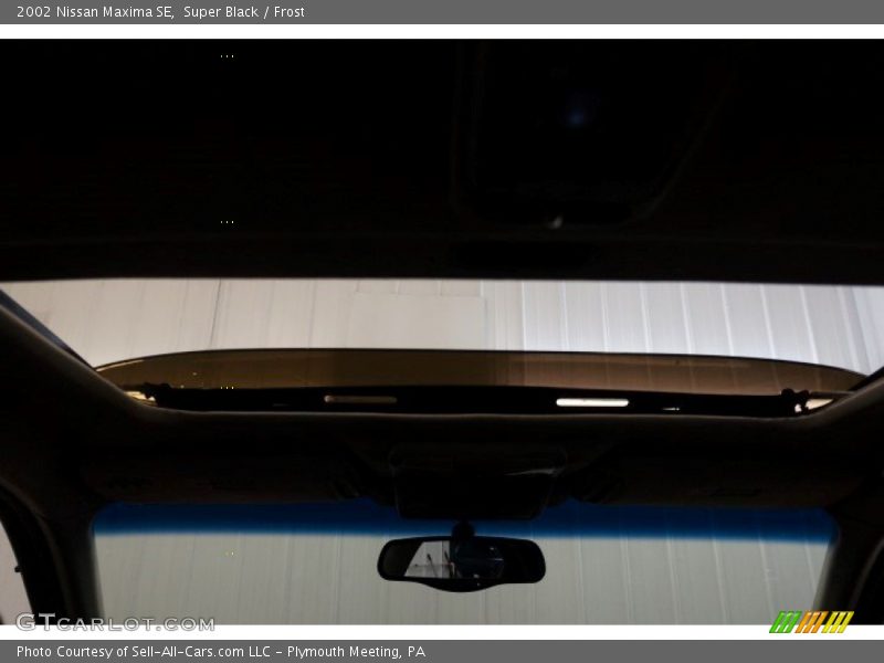 Super Black / Frost 2002 Nissan Maxima SE
