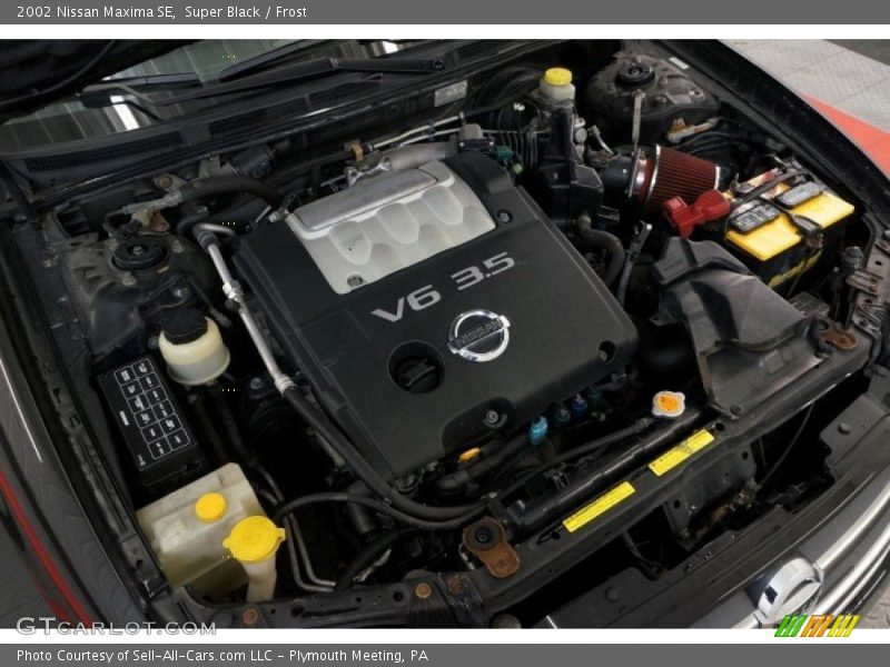 Super Black / Frost 2002 Nissan Maxima SE