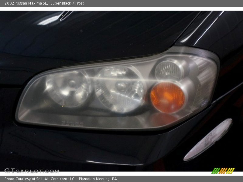 Super Black / Frost 2002 Nissan Maxima SE