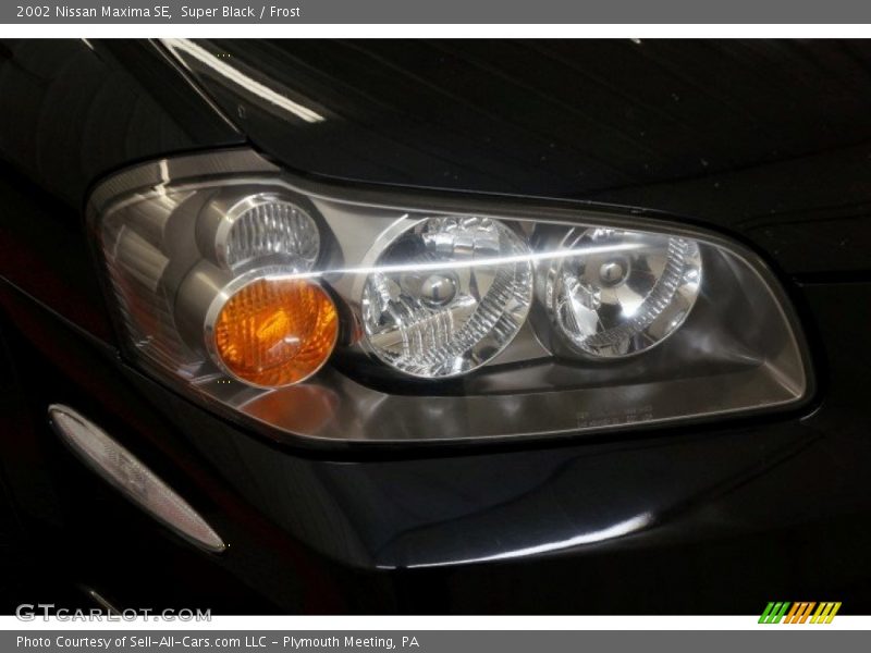 Super Black / Frost 2002 Nissan Maxima SE