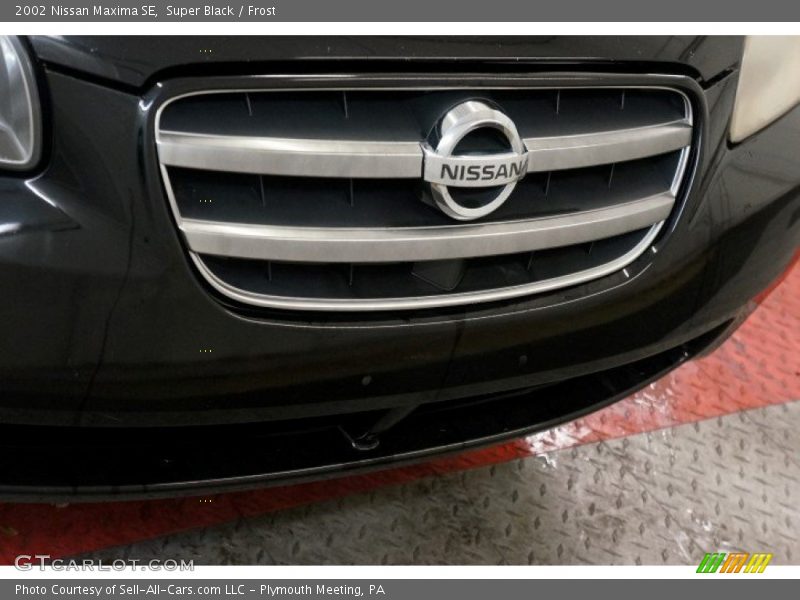 Super Black / Frost 2002 Nissan Maxima SE
