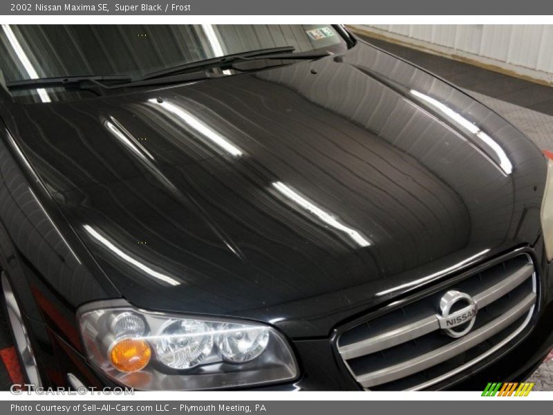 Super Black / Frost 2002 Nissan Maxima SE