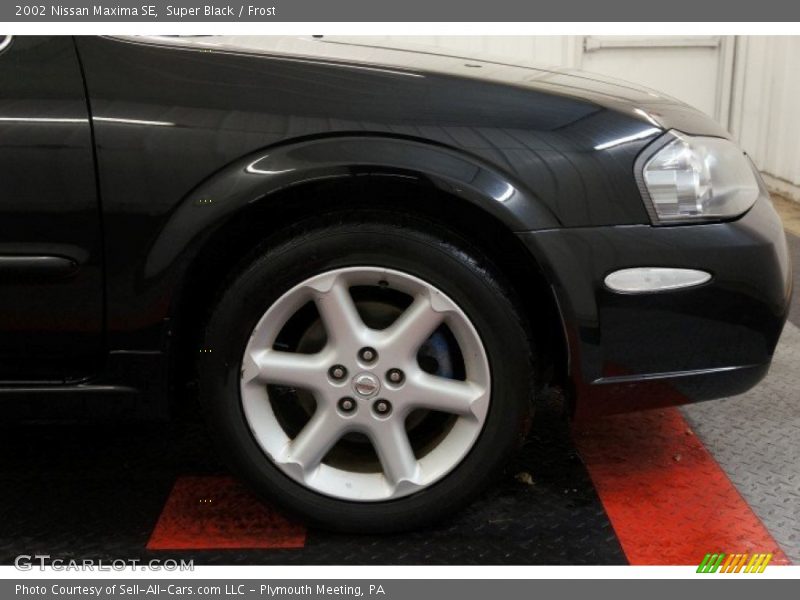 Super Black / Frost 2002 Nissan Maxima SE